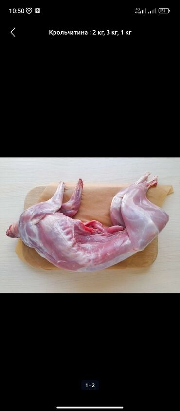 кумыс с медом бишкек: Крольчатина : 2 кг