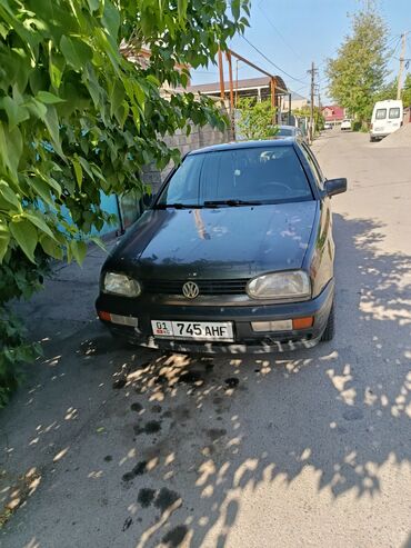 golf 2 автомат: Volkswagen Golf: 1993 г., 1.6 л, Механика, Бензин, Хэтчбэк