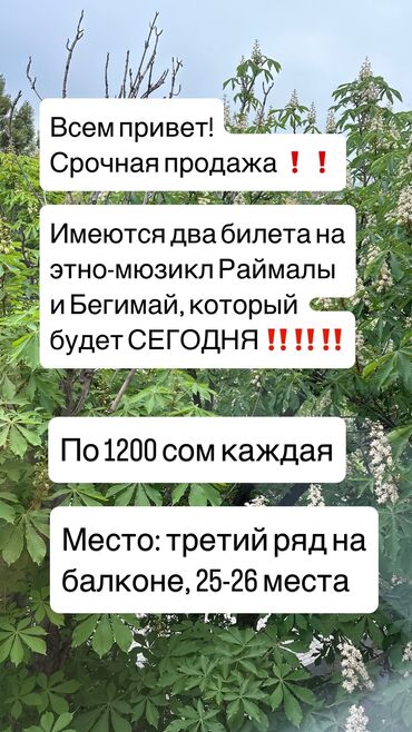 музыкальный сентр: 2 билета на этно-мюзикл в филармонии на СЕГОДНЯ