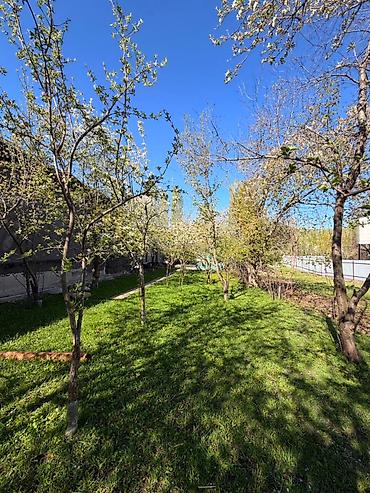 Продажа дач: 🏡 ДАЧА В БЕШ-КЮНГЕЙ — У РЕКИ! 🌿 Топовая локация: всего 100 м от Royal — 3