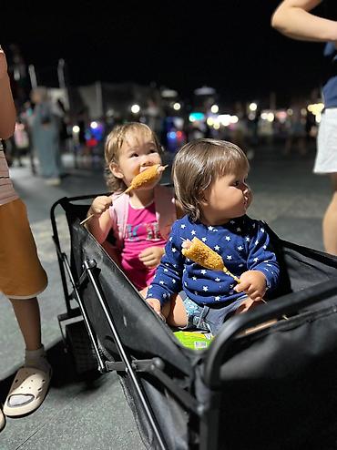 Другие товары для детей: Кемпинговая тележка В горы на пляж На Иссыккуль прям необходимая — 14