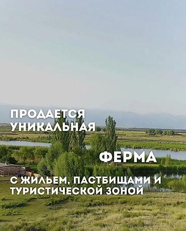 Кошара, 30 соток, Действующий, Частично с оборудованием, Электричество