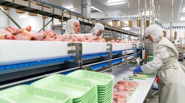 работа онлайн для мам в декрете: Требуется Упаковщик, Оплата Дважды в месяц, Без опыта