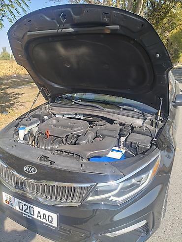 Kia: Kia Optima: 2019 г., 2.4 л, Автомат, Бензин, Седан — 9