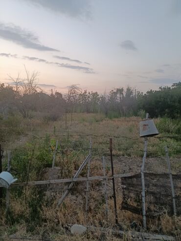 Продажа участков: 10 соток, Красная книга — 3