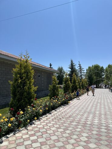 Иссык-Куль 2025: Квартира, ПАРИЖ-1 ЦО Париж, Чок-Тал, Охраняемая территория, Парковка, стоянка, Детская площадка at lalafo.kg — 3 Иссык-Куль 2025: Квартира, ПАРИЖ-1 ЦО Париж, Чок-Тал, Охраняемая территория, Парковка, стоянка, Детская площадка — 3
