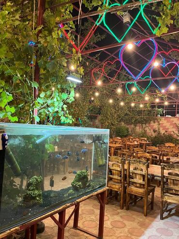 Digər kommersiya daşınmaz əmlakı: Xətai r, 1500 kv, 3 mərtəbəli restoran icarəyə verilir. İçki verilmir — 9