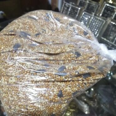 Dovşanlar: Dovşan yemləri 1-kilosu 2azn Dovşan balaları 5azn topdan Tək tək 9-azn — 5