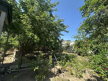 qusar a frame evler: Suraxanı 5 otaqlı, 110 kv. m, Orta təmir — 1