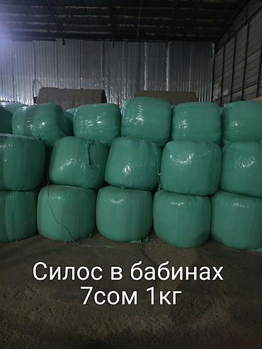 малёк рыбы: Силос в бабинах 7сом 1кг в любом количестве обращайтесь при кокупки 1т — 3