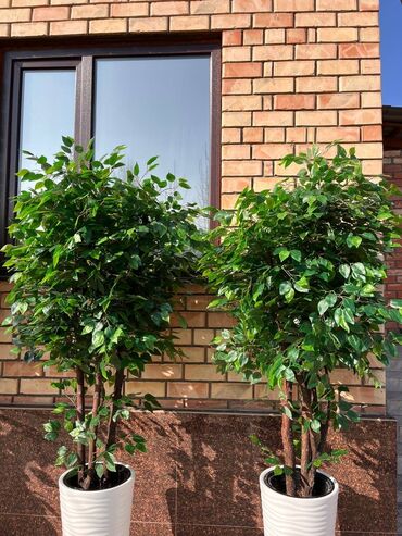 Декоративные цветы: Искусственные деревья и цветы — долговечный и стильный декор без at lalafo.kg — 18 Декоративные цветы: Искусственные деревья и цветы — долговечный и стильный декор без — 18