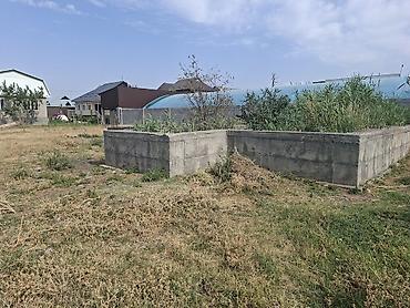 колмо временка: 6 соток, Красная книга — 1