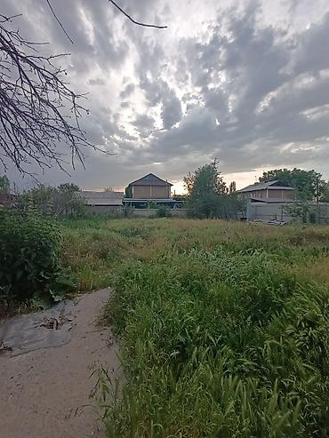 мечит: 📌 В селе Беловодское продается дом из 3-х комнат на участке 12 соток с — 7