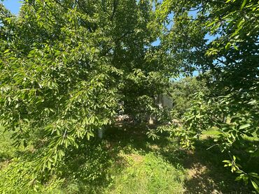 Bağ evlərinin satışı: Xaçmaz, 126 kv. m, 4 otaqlı, Hovuzsuz -da lalafo.az — 17 Bağ evlərinin satışı: Xaçmaz, 126 kv. m, 4 otaqlı, Hovuzsuz — 17