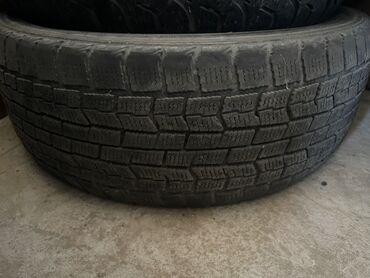 домкраты на авто: Дөңгөлөктөр монтажда 205 / 55 / R 16, Кыш, Колдонулган
