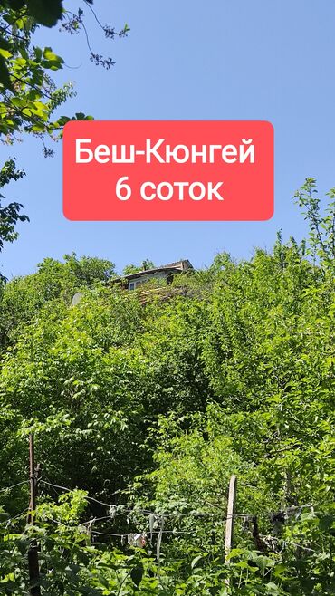 продаю дом степное: Дача, 25 м², 2 комнаты, Собственник, Старый ремонт