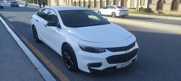 Chevrolet: Chevrolet Malibu – ağ rəng, zərif və dinamik sedan - Kuzov: 4 qapılı — 2