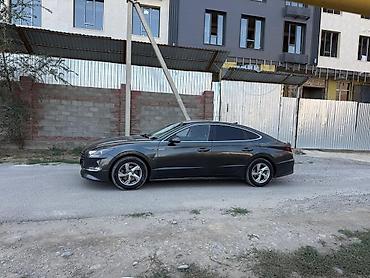 sonata: Hyundai Sonata: 2020 г., 2 л, Автомат, Газ, Седан — 5