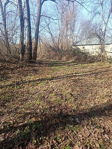 Torpaq sahələrinin satışı: Kənd təsərrüfatı — 2