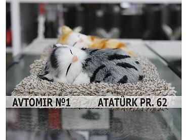 heyvan yemlərinin satışı: Dekorativ heyvanlar üçün panel bundan başqa hər növ avtomobi̇l — 1