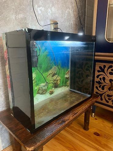 akvarium daş: Dördbucaq akvarium, Boş, 20 l — 3