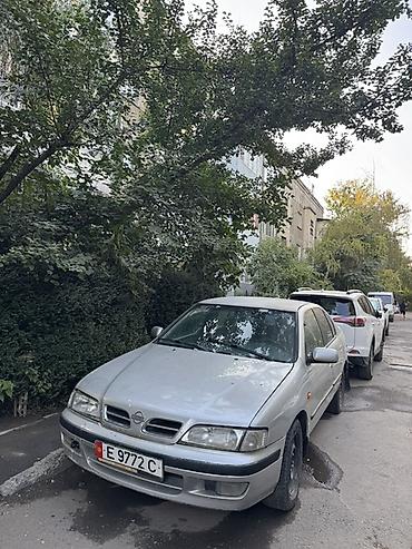 дмрв ниссан: Nissan Primera: 2000 г., 2 л, Механика, Бензин, Седан — 3