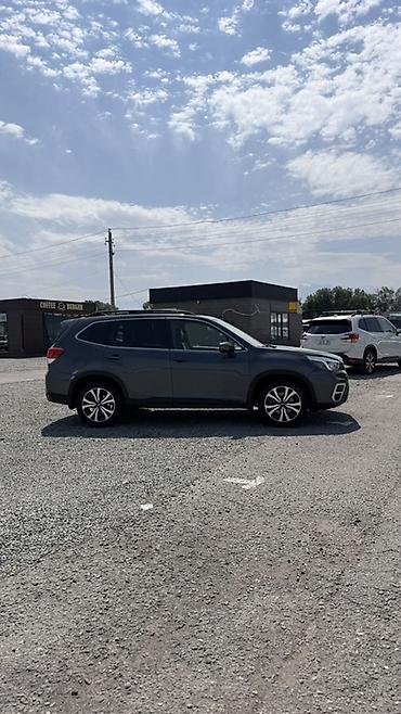 outback 2004: Subaru Forester: 2020 г., Кроссовер — 4