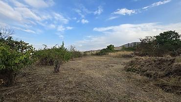Продажа участков: 5 соток — 3