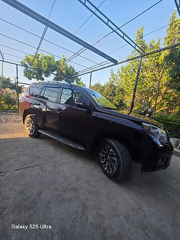 го парк: Toyota Land Cruiser Prado: 2011 г., Автомат, Дизель, Внедорожник — 9