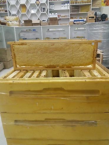 Другие животные: ППУ УЛЬИ для пчел.(из пенополиуретана специально для ульев). Ящики — 7