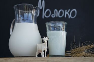 электронный жайнамаз бишкек цена: Козье молоко. с. Дмитриевка. 100с литр. Пишите в ватсап