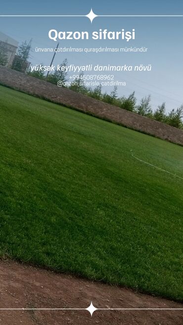 Toxumlar: Qazon satışı təbii və süni Qazonlarımız satışda mövcuddur təbii — 12