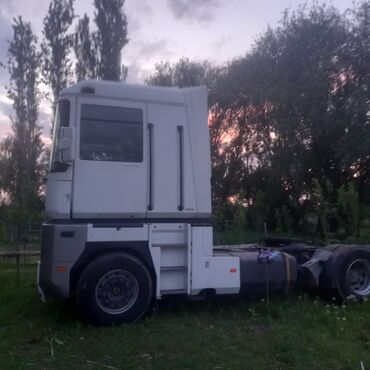 Тягачи: Тягач, Renault, 2005 г., Без прицепа