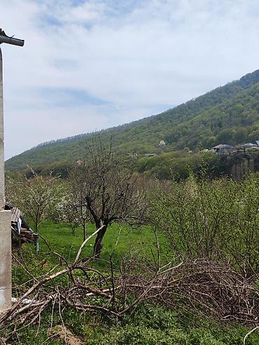 tap az samaxi: 10 sot, Tikinti, Makler, Kupça (Çıxarış) — 1