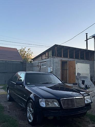 мерис 124: Mercedes-Benz S-Class: 1995 г., 3.2 л, Автомат, Бензин, Седан — 3