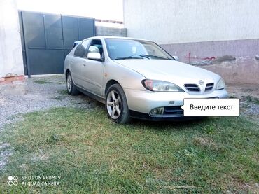 машина авария: Nissan Primera: 2000 г., 1.8 л, Механика, Бензин, Хэтчбэк