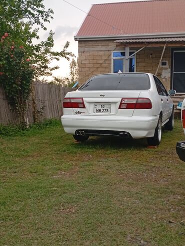 Nissan: Nissan Sunny: 1.6 l | 2000 il Sedan — 9