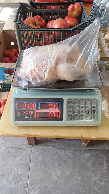 тент крыша: Бройлер- куриное мясо,потрошённая, в пакете. Характеристики: - Форма — 2