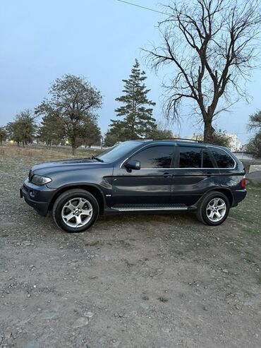 крыло гольф 2: BMW X5: 2004 г., 4.4 л, Автомат, Бензин, Внедорожник
