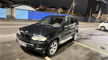 BMW: BMW X5: 2002 г., 3 л, Типтроник, Дизель