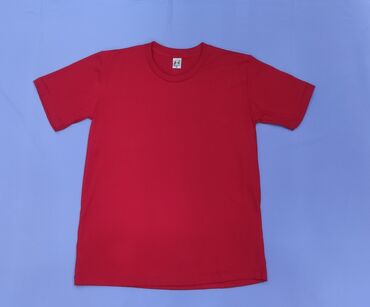 Футболки: Однотонные Футболки Плотность 300 г. / м Colour Футболки Оптом — 13