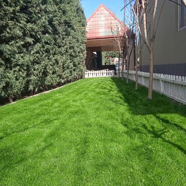 Bağbanlar: Profesional bağban xidməti ağac və kolların əkilməsi budanması -da lalafo.az — 3 Bağbanlar: Profesional bağban xidməti ağac və kolların əkilməsi budanması — 3