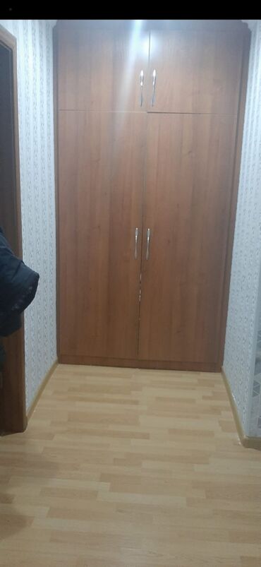 İşlənmiş, Açılan, 2 qapılı Düz dolab, Dolab-asılqan