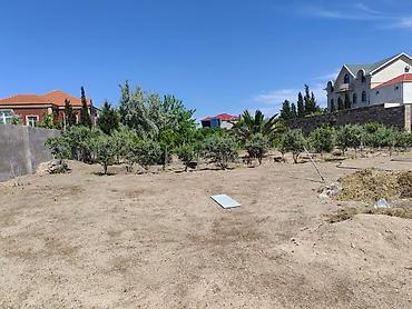 Bağ evlərinin satışı: Pírşağida kohne hamamin arxasinda,dənize panaramasi olan bag — 2