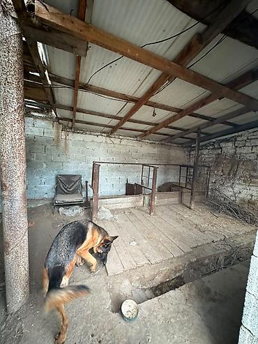 Продается квартира в барачном доме в селе Молдовановка, в доме кухня