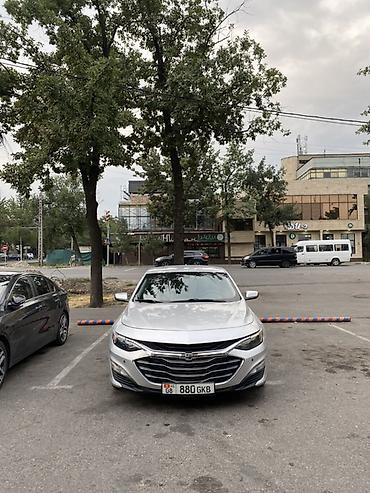 chevrole: Chevrolet Malibu: 2021 г., 1.5 л, Автомат, Бензин, Седан — 2