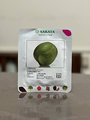 Другие овощные культуры: Семена овощных культур SAKATA (профессиональная серия, фасовка по 1000 — 11