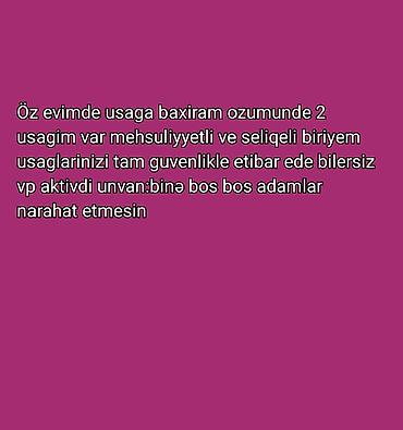 Домашний персонал и уборка: Xidmət: Evdə uşaq baxımı Məlumat: - Öz evimdə uşaq baxımı təklif — 1