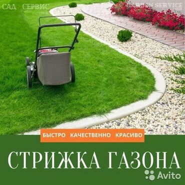 посев газон: Что мы делаем: стрижка газона, стрижка растений можем обработать