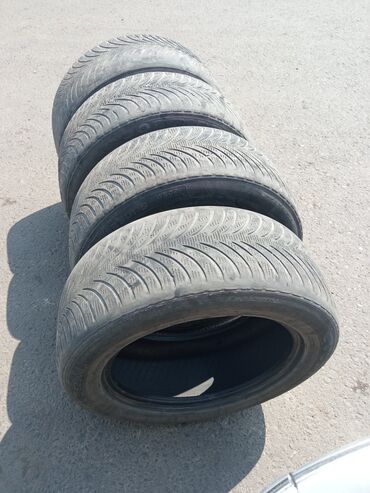 Шины: Шины 215 / 55 / R 16, Всесезонная, Комплект, Легковые, Dunlop